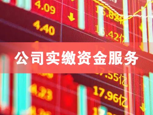 广水公司实缴资金服务