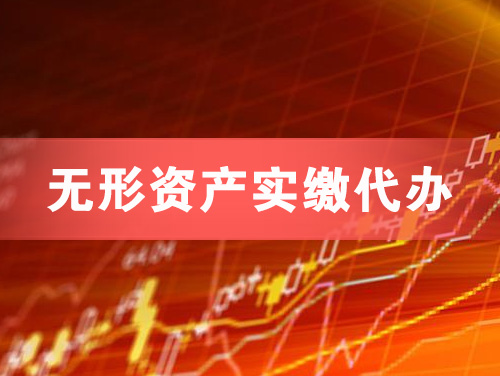 广水无形资产实缴资本代办