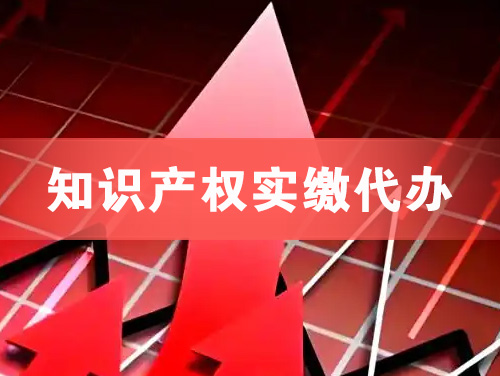 广水知识产权实缴资本代办